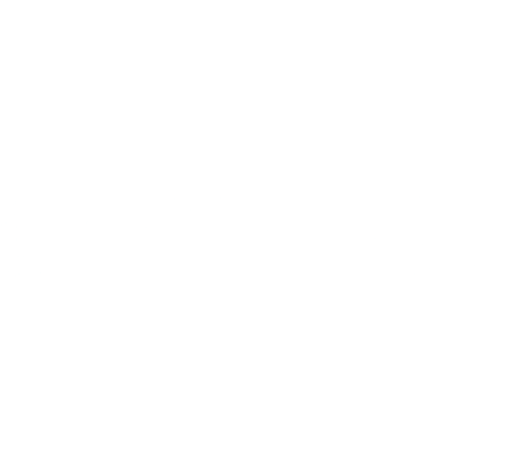 Net Zero Logo copy